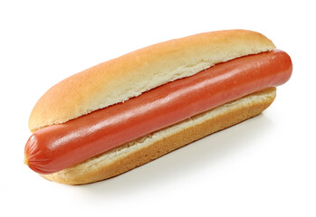 hot dog on white background