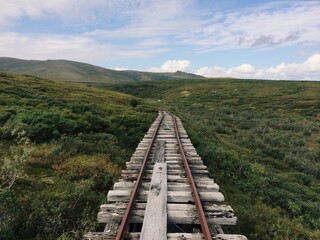 Old Railroad to Nowhere by Nature