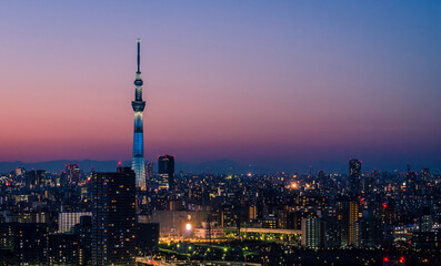 The Skytree Over Tokyo