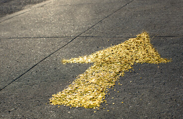 Gold sequin arrow pointing forward on the sidewalk