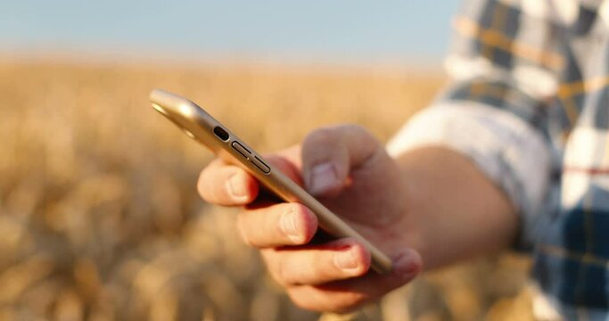 Close up shot of Caucasian man hand typing and tapping on smartphone while standing in field outdoors. Male fingers texting on cellphone in countryside on sunny day. Technology concept