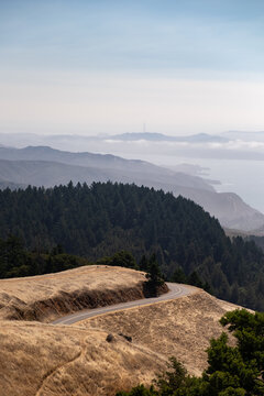 Golden Hills & Sutro Tower
