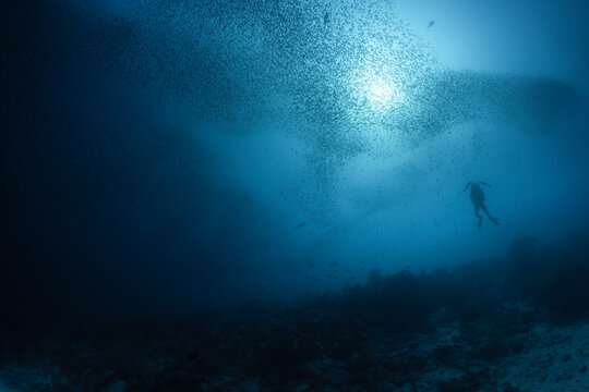 Underwater Photographer Silhouette