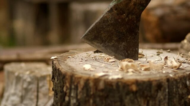 The axe hits the stump. It gets stuck in a tree stump. Firewood