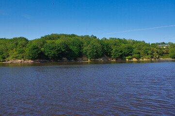 Fototapeta premium river and forest