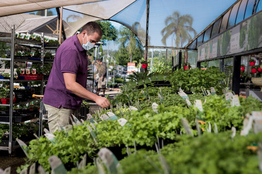 man shopping for plants