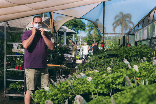 man shopping for plants