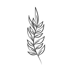 minimalist tattoo branch foliage line art herb and leaves