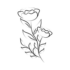 minimalist tattoo flowers spring line art herb and leaves