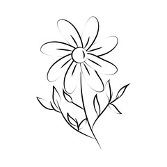 minimalist tattoo flower foliage leaves line art herb