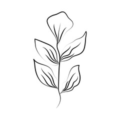 minimalist tattoo leaves foliage herb line art