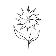 minimalist tattoo flower line art herb and leaves sweet