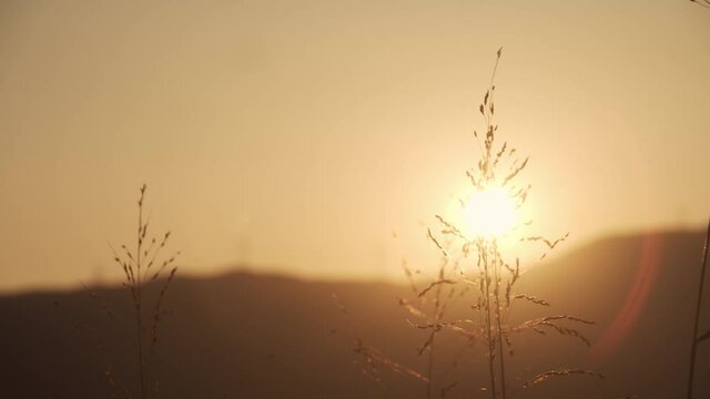 夏の夕日