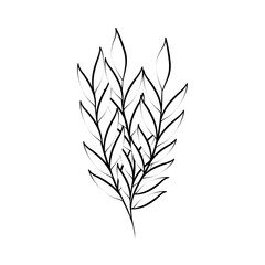 Obraz premium minimalist tattoo foliage leaves decoration line art