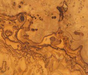 Natural olive wood with beautiful wood grain may used as background
