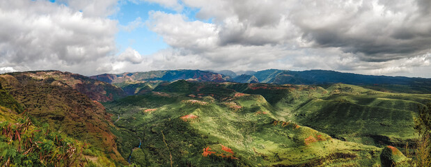 Evergreen landscape with dramatic cloud shadows