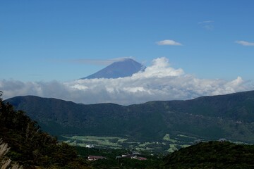 Naklejka na ściany i meble 雲海に包まれる富士山