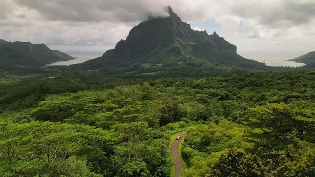 Aerial view, drone shot 4k. Moorea, Tahiti French Polynesia. Car drive in green jungle forest of Mount Rotui. Tropical paradise, outdoor nature, Tahiti adventure vacation. Slow motion.