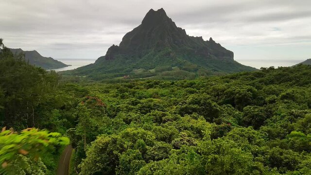 Drone 4k Tahiti. Slow motion. Mount Rotui forest jungle. Tropical paradise, vacation in French Polynesia,  Moorea Tahiti travel. 