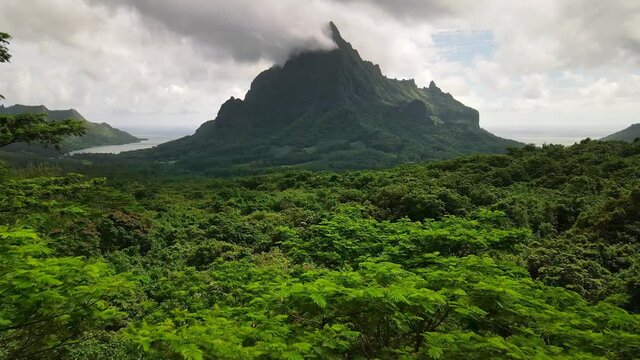 Drone aerial shot of Moorea nature, Mount Rotui forest jungle. Tahiti French Polynesia. Slow motion. 4k