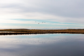 still lake in the morning