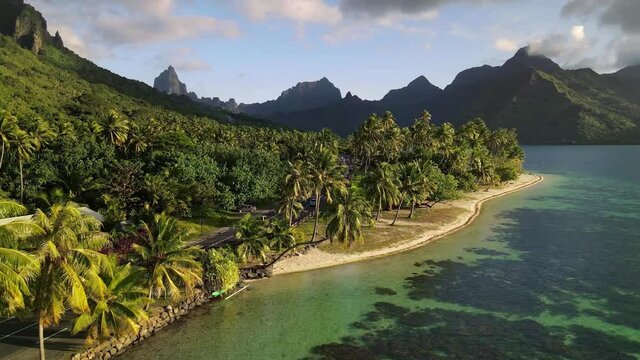 4k drone shot. Aerial view of clear water lagoon beach. Moorea Tahiti island. French Polynesia. Exotic travel vacation getaway, romantic honeymoon destination.