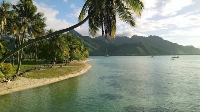 Drone shot Tahiti nature, 4k. Moorea Tahiti island. French Polynesia. Exotic travel vacation getaway, romantic honeymoon destination.