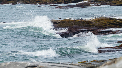 New England Coast by Constantine