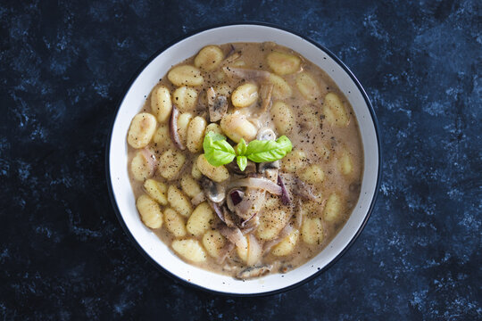 Ances 이미지 찾아보기 674 스톡 사진 벡터 및 비디오 Adobe Stock