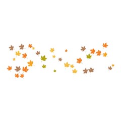Fototapeta na wymiar autumn Leaf background