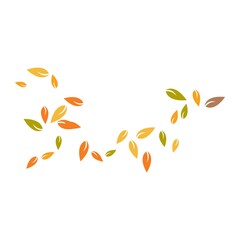 autumn Leaf background