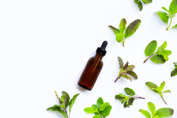 Essential oil bottle with holy basil leaves on white background.