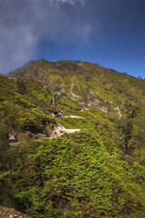 Fototapeta na wymiar View from the caldera Kawah Ijen volcano near Bondowoso to the nearest old volcanic cone - Baluran National Park, Java Island, Indonesia