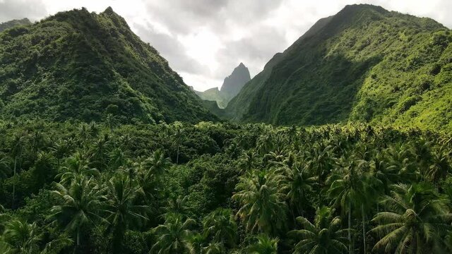 Tahiti drone aerial shot 4k. Beautiful nature landscape of French Polynesia. tropical jungle mountain valley.  exotic travel destination, adventure getaway destination. 