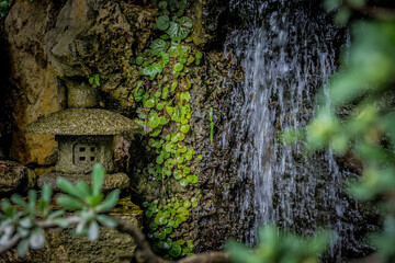 Rushing Water in a Japaese Garden
