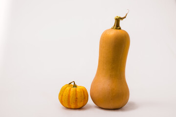 食材　黄色いミニカボチャとバターナッツカボチャ
