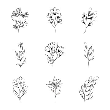 minimalist tattoo boho flowers floral decoration over white background line art icons