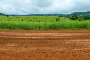 Obraz premium Dirt road with the meadow in countryside