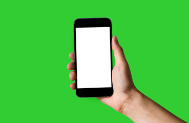 Hand holding white mobile phone with blank white screen in green background.