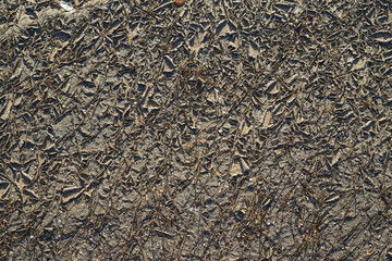 Fototapeta premium Image of dried cracked earth.