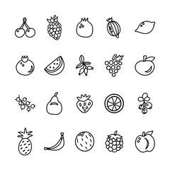 Fruits and berries icons. Hand drawn line vector food.