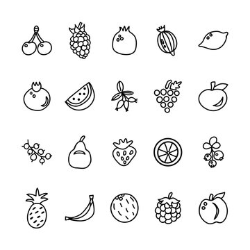 Fruits and berries icons. Hand drawn line vector food.