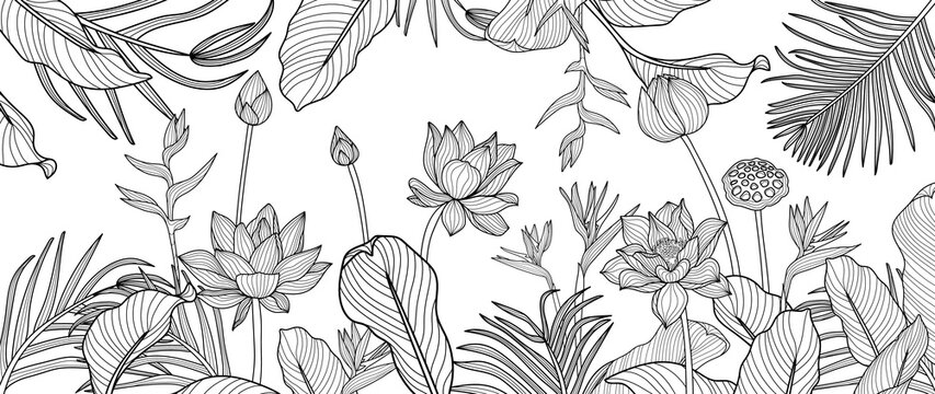 Luxury black and white  art deco wallpaper. lotus  background vector. Floral pattern with  tropical flowers, monstera plant, Jungle plants line art on white background. .