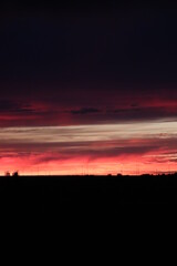 Obraz premium vibrant sunset silhouette on a shadowy prarie
