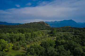 Fototapeta na wymiar Aerial view of olive trees lake garda italy. In the background Lake Garda, mountains and Rocca di Manerba