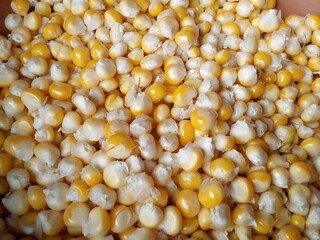 Fresh, yellow and tasty corn
