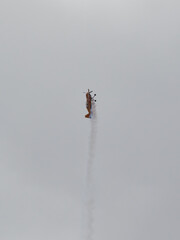 Fototapeta premium Pilot performances of Yak piston aircraft at the air show
