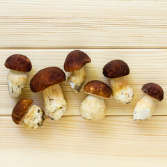 Porcini mushrooms on a light wooden background, top view
