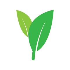 leaf logo