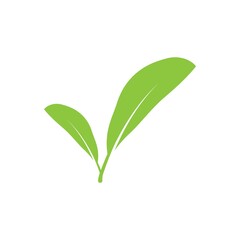 leaf logo